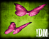 !DM |Pink Butterflies|