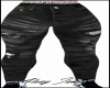 Pants Iansa 2