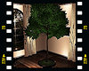 (PT) LIEV Indoor Tree