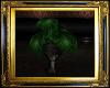 Elegant Palm Plant
