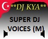 Super Dj Voice (M)
