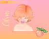 SA♥ Citrus Hair V6
