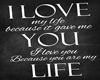 Love My Life Wall Quote