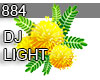 884 DJ LIGHT