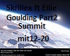 Skrillex Summit Part2