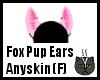 Anyskin Fox Pup Ears (F)