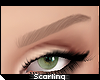 s| Dani Brows KD . Blond