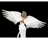 Queen Serenity Wings