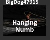 [BD]HangingNumb