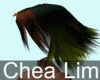 Chea Lim Hair01 06
