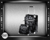 @- Exclusive luggage
