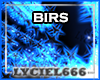 Particle Light BIRS