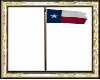 TEXAS FLAG