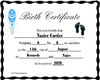 Nazier Birth Certificate
