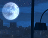 Moonlit Apartment