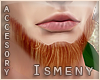 [Is] Lucky Irish Beard 2