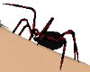 V~Animated Pet Spider