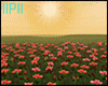 IIPII Sun Field Flowers