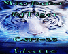 Mix-Christmas Electro 21
