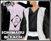 !Ichimaru Coat [Bleach]