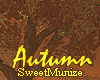 Autumn_Anim.Tree_Music