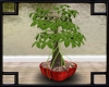 Bonsai Tree - Green