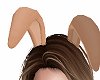 Bun! Fall Brwn Bunny Ear