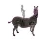 v. Zebra Pet