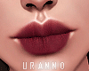 U. Under Lip III