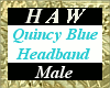 Quincy Blue Headband - M