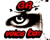 GrvoiceBox2