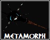 Metamorph Staff