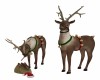 Santa's REINDEERS #2