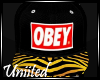 Obey~Tiger