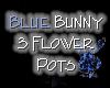 BB 3 Flower Pots