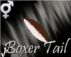 [J-O]Brown Boxer Tail
