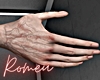 HANDS VEINS REALIST