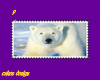 polar bear long stamp