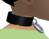 [SKY] slave/pet collar