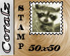 Raccoon Stamp 50x50