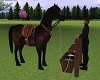 Animated Horse w 2 Poses
