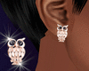 Gold Owl Earrings