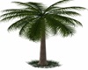 ANIMATED PALM TREE
