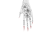 White Nails + Tattoo