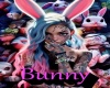 bunny 4