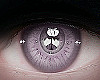 xRaw| Eyes Lilac | M/F