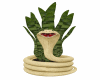 Snake Plant