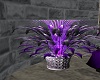 Etched Elegance Plant #1