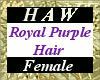 Royal Purple Hair - F