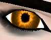 Orange Eyes (M)/SP